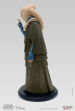 Bib Fortuna -N°8 - 42 CM – Image 3